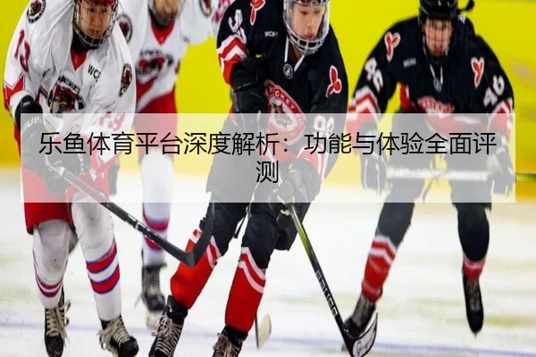 乐鱼体育平台深度解析：功能与体验全面评测
